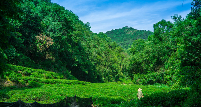 Yangmeiling-Villag-Hangzhou